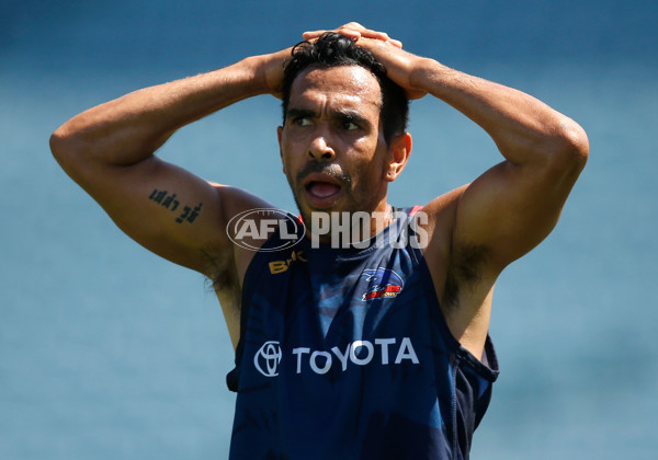 AFL 2016 Training - Adelaide Crows 090216 - 417300