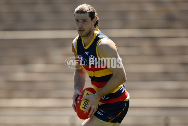 AFL 2017 Training - Adelaide Crows 061217 - 562758