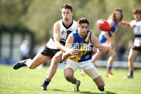 TAC Cup 2017 Round 15 - Northern Knights v Western Jets - 542279