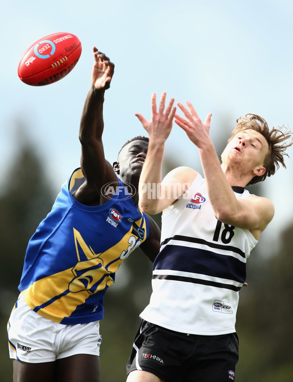 TAC Cup 2017 Round 15 - Northern Knights v Western Jets - 542975