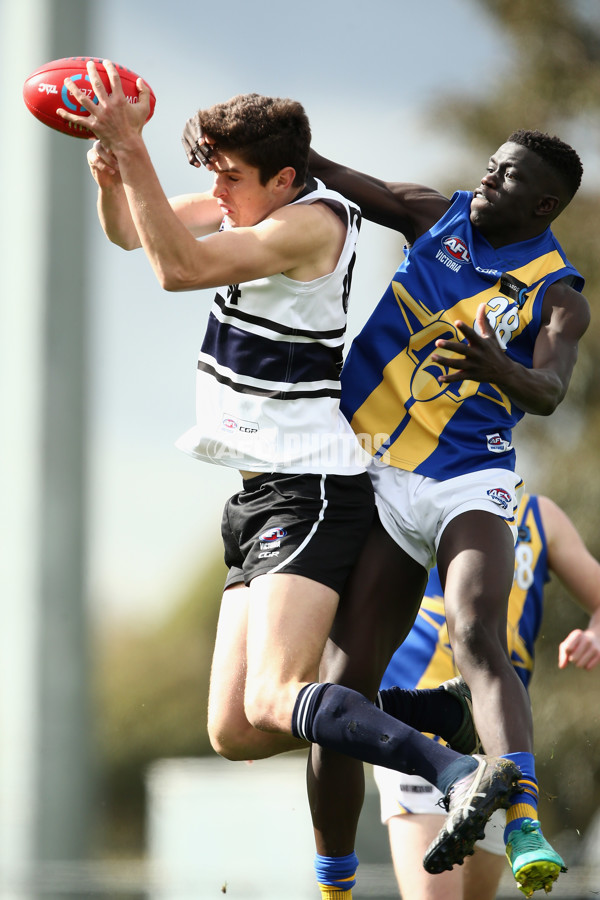 TAC Cup 2017 Round 15 - Northern Knights v Western Jets - 542972