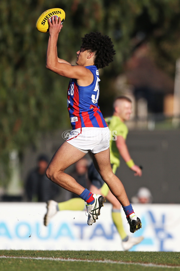 NAB League Boys 2019 Round 17 - Sandringham Dragons v Oakleigh Chargers - 706416