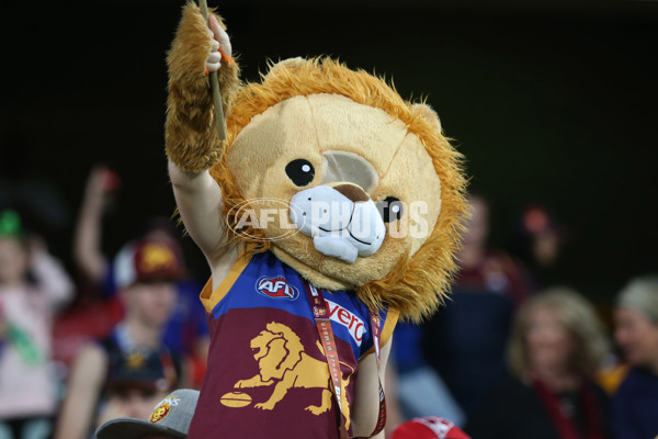 AFL 2019 Round 07 - Brisbane v Sydney - 670525