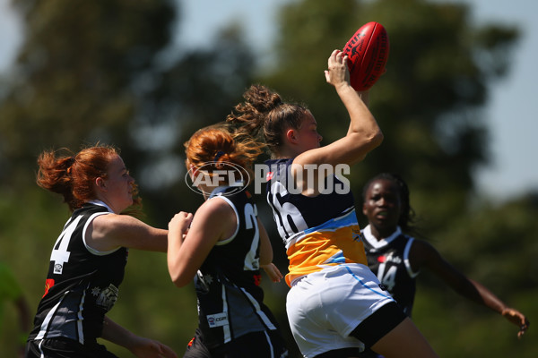 AFL 2019 U18 Girls – Bendigo Pioneers v GWV Rebels - 650197