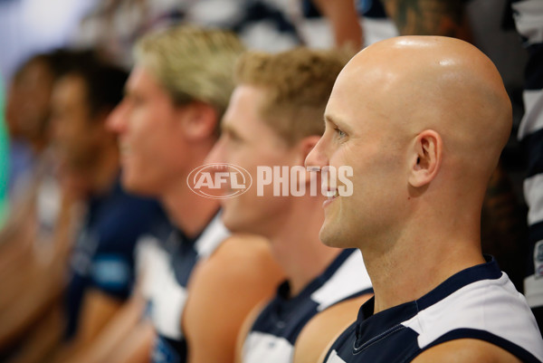 AFL 2018 Media - Geelong Cats Team Photo Day - 567801