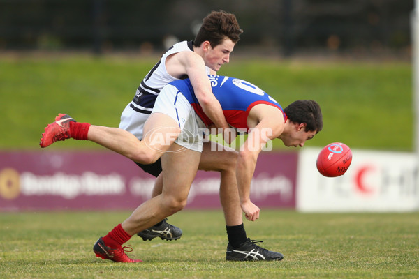 TAC Cup 2018 Round 13 - Northern Knights v Gippsland Power - 615012