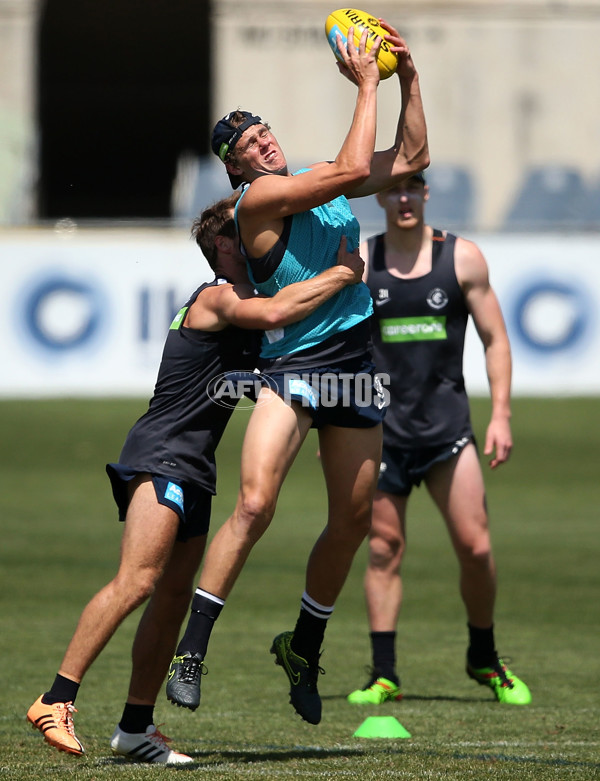 AFL 2015 Training - Carlton 021215 - 412840