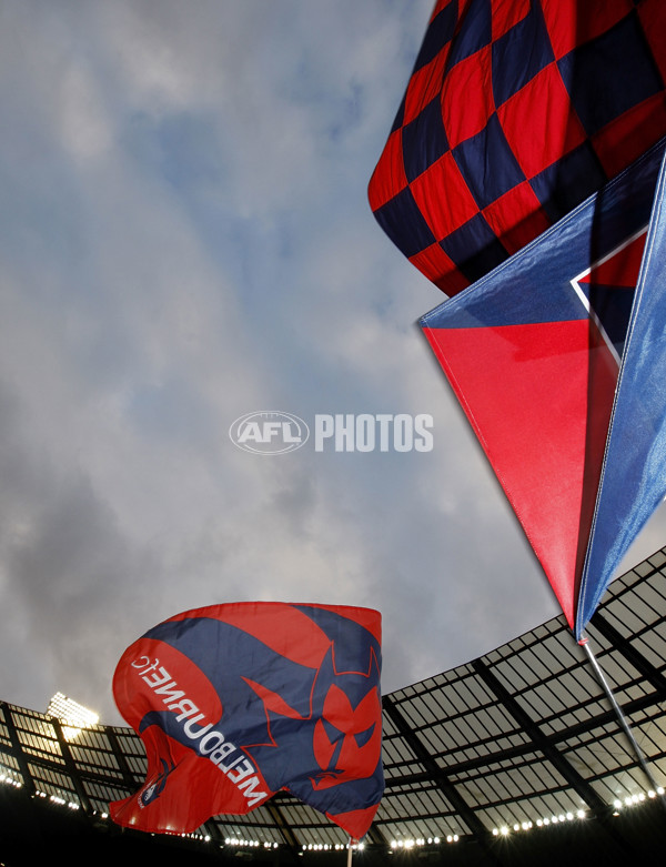 AFL 2011 Rd 07 - Melbourne v Adelaide - 229952