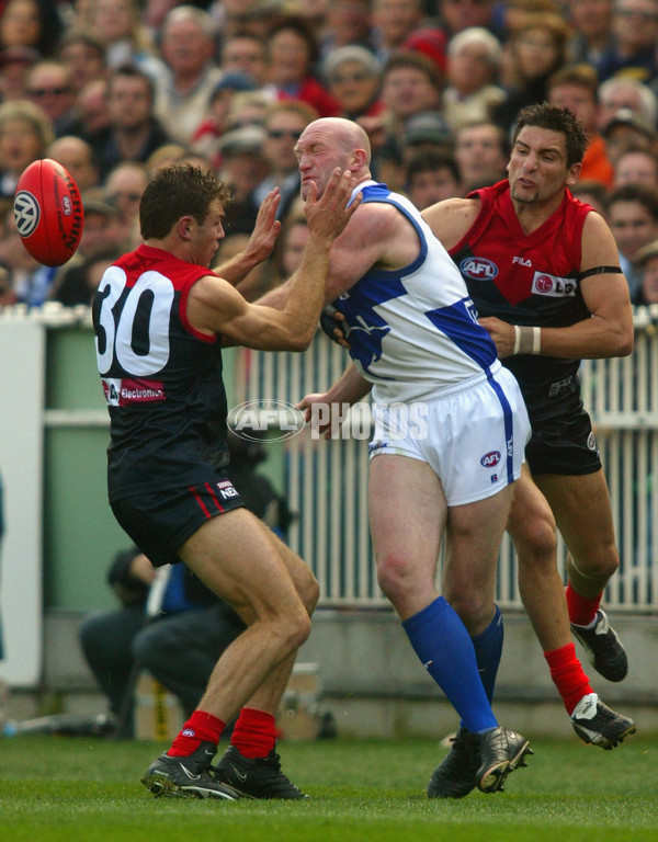 AFL 2002 2nd Elimination Final - Melbourne v Kangaroos - 133914