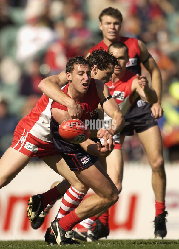 AFL 2002 Rd 21 - Melbourne v Sydney - 134261