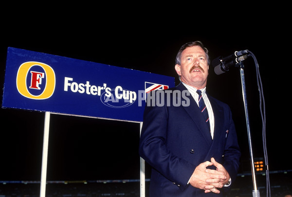 AFL 1991 Fosters Cup Grand Final - Hawthorn v North Melbourne - 140683