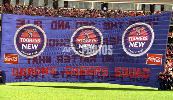 AFL 2001 Rd 18 - Melbourne v Geelong - 149500