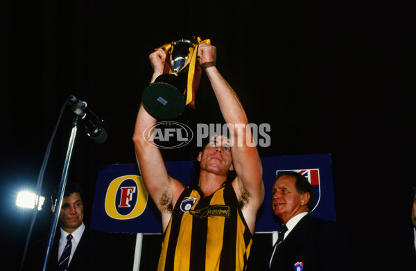 AFL 1991 Fosters Cup Grand Final - Hawthorn v North Melbourne - 23129