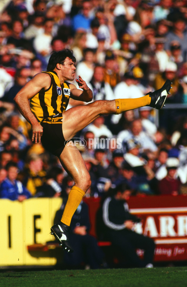 AFL 1990's - Hawthorn Hawks - 23371