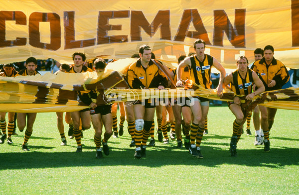 AFL 1998 Round 22 - Hawthorn v Fremantle - 23314