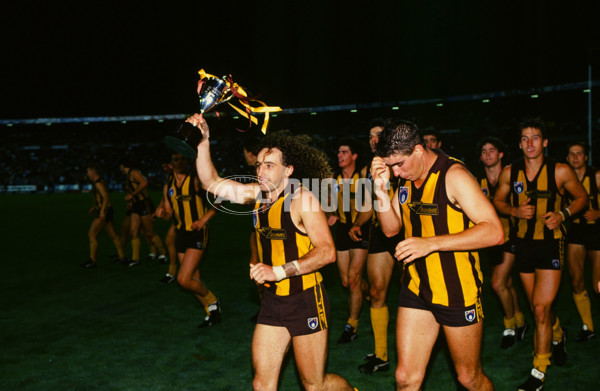 AFL 1991 Fosters Cup Grand Final - Hawthorn v North Melbourne - 23571