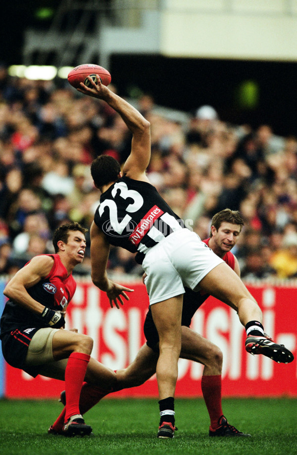 AFL 2001 Round 11 - Melbourne v Collingwood - 28539
